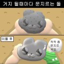 리암스 이미지