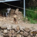 계척체육공원 이미지