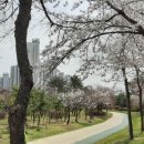 석남완충녹지공원 이미지