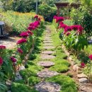 선돌흙집 이미지