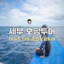 세부호핑투어 추천 단독투어 세부 가족호핑투어 가격 후기