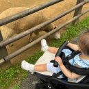 이도목장 이미지