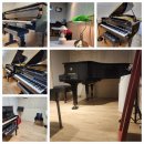 [군포,산본,한세대] All 야마하 피아노 스튜디오 / 50% 장기 할인 쿠폰제 실시 이미지