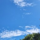 큰나무공인중개사사무소 이미지