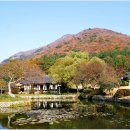 진도 운림산방 이미지