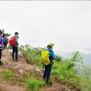 대곶중학교 이미지