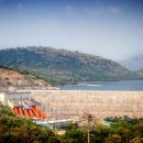 바이온트 이미지