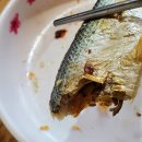 광어9900 이미지