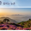 개화1리마을회관 이미지