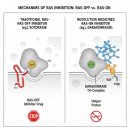 바이오메디신 | 레볼루션 메디신(RVMD-미국바이오)3
