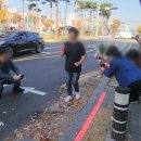 캡컷으로 영상 제작&편집하기 이미지