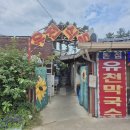 유천목장 | 평창 대관령 맛집 유천막국수 본점 메밀막국수, 꿩만두 후기(+웨이팅, 주차)