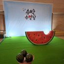 뮤지컬 수박수영장 이미지