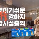 햇살온누리약국 이미지