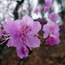구름산주유소 네이버블로그
