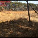 안중읍 금곡삼거리 이미지