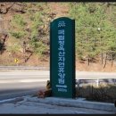 청옥산휴양림 이미지