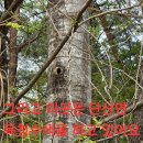 (목청답사)타지역 상황수확 원정답사.5 이미지