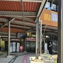 충북 단양 • 가볼만한 곳 만천하 스카이워크 주차 및 이용 금액 정리
