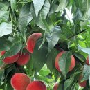 광덕한의원 이미지