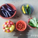 무열농장 이미지