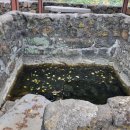 고씨우물 이미지