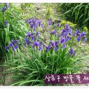 봄뜰에농장 이미지