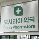 율하우리들약국 | 동네 약국보다 훨씬 저렴했던 내돈내산 기장 오시리아 대형 창고형 약국 솔직 후기