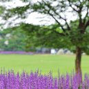 기맥한의원 이미지