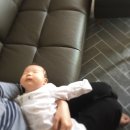 현대7호 이미지