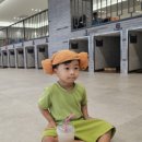 스파렉스사우나 이미지