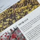 소창한의원 이미지
