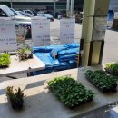 와부농업협동조합경제사업소 이미지