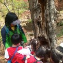 시흥5동어린이집 이미지