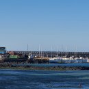 돌고래공인중개사사무소 이미지