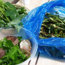 다락골민박 이미지