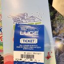 42번국도 | 횡성 루지체험장, 자연 속 42번 옛 국도에서 펼쳐진 속도감있는 강원도 레이스