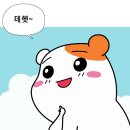 토들리 이미지