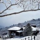 안성면109 이미지