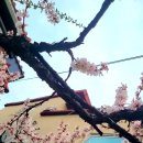 꺽쇠한우 이미지