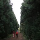 굼부리 - 5636 | 굼부리