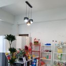 박꽃순펫미용 | 울산애견미용/울산애견호텔/애견가위컷/애견미용경력14년/울산강아지미용-박꽃순 펫미용에서 몽이~미용...