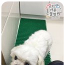 경희궁바른동물병원 이미지