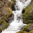 태백낚시 이미지