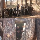 솔밭팬션 이미지