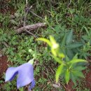 소을농장 이미지