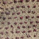 천왕농장 이미지