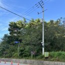 명산사슴농장 이미지