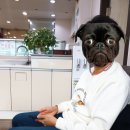 장인수가정의학과 네이버블로그