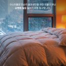 오케이이불 | 숙면 치트키, 클래식 패브릭 폴란드 구스 이불 내돈내산 후기